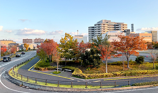市民病院の正門の前です。