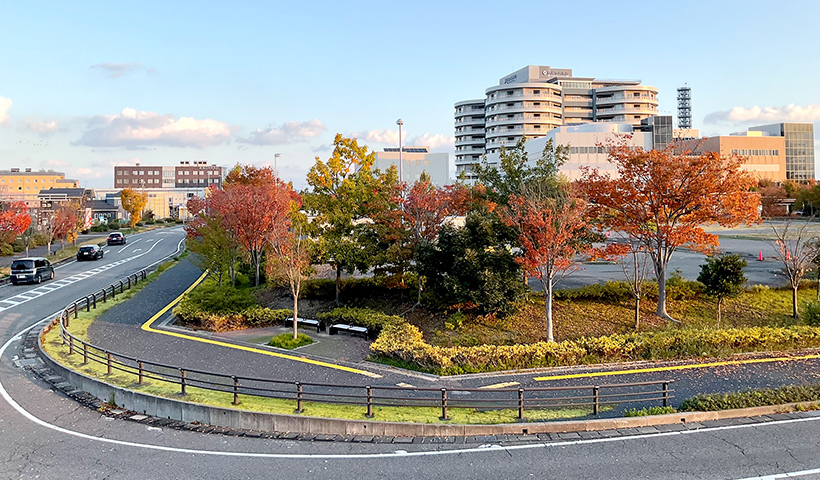 うぃるのメインビジュアル
